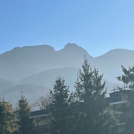 Apartamentylove - Apartament u Janicka, 100m do Krupówek Zakopane Exterior foto
